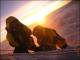 Expedition in Nepal