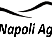 thumb_logo-web-napoli