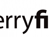 ferryfinder-logo